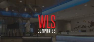 wls companies 100